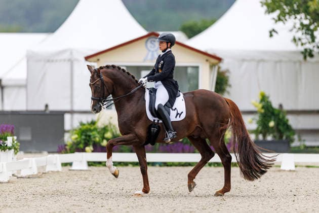 HAGEN a.T.W. - CDIO Nations Cup 2026, HAGEN a.T.W. - CDIO Nations Cup 2026 Covalliero Dressage Days 2026 WERTH Isabell (GER), Viva Gold OLD CDI4* - Grand Prix LetÂ sGet Hooved Prize Hagen a.T.W., Hof Kasselmann 02. July 2026 - *** HAGEN a T W CDIO Nations Cup 2026, HAGEN a T W CDIO Nations Cup 2026 Covalliero Dressage Days 2026 WERTH Isabell GER, Viva Gold OLD CDI4* Grand Prix Let’s Get Hooved Prize Hagen a T W, Hof Kasselmann July 2, 2026