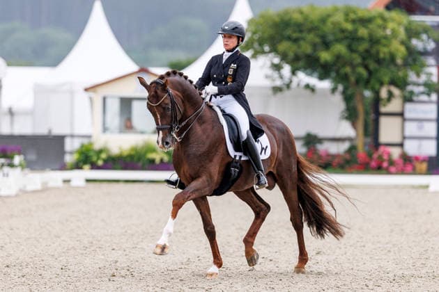 HAGEN a.T.W. - CDIO Nations Cup 2026, HAGEN a.T.W. - CDIO Nations Cup 2026 Covalliero Dressage Days 2026 WERTH Isabell (GER), Viva Gold OLD CDI4* - Grand Prix LetÂ sGet Hooved Prize Hagen a.T.W., Hof Kasselmann 02. July 2026 - *** HAGEN a T W CDIO Nations Cup 2026, HAGEN a T W CDIO Nations Cup 2026 Covalliero Dressage Days 2026 WERTH Isabell GER, Viva Gold OLD CDI4* Grand Prix Let’s Get Hooved Prize Hagen a T W, Hof Kasselmann July 2, 2026