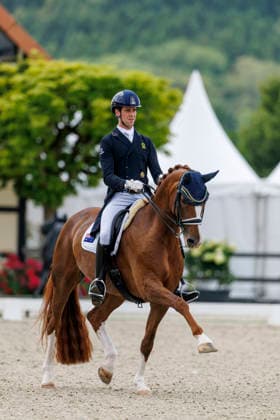 HAGEN a.T.W. - CDIO Nations Cup 2026, HAGEN a.T.W. - CDIO Nations Cup 2026 Covalliero Dressage Days 2026 MATTHEW William (AUS), Faye 43 CDI3* Grand Prix Hagen a.T.W., Hof Kasselmann 03. July 2026 - *** HAGEN a T W CDIO Nations Cup 2026, HAGEN a T W CDIO Nations Cup 2026 Covalliero Dressage Days 2026 MATTHEW William AUS, Faye 43 CDI3* Grand Prix Hagen a T W, Hof Kasselmann July 3, 2026