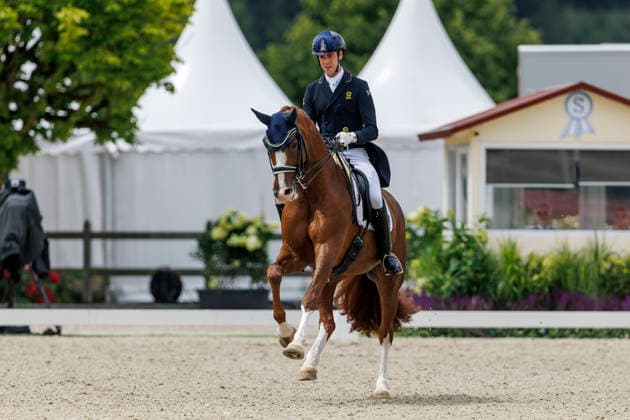HAGEN a.T.W. - CDIO Nations Cup 2026, HAGEN a.T.W. - CDIO Nations Cup 2026 Covalliero Dressage Days 2026 MATTHEW William (AUS), Faye 43 CDI3* Grand Prix Hagen a.T.W., Hof Kasselmann 03. July 2026 - *** HAGEN a T W CDIO Nations Cup 2026, HAGEN a T W CDIO Nations Cup 2026 Covalliero Dressage Days 2026 MATTHEW William AUS, Faye 43 CDI3* Grand Prix Hagen a T W, Hof Kasselmann July 3, 2026