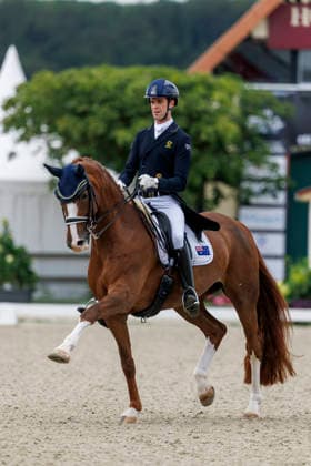 HAGEN a.T.W. - CDIO Nations Cup 2026, HAGEN a.T.W. - CDIO Nations Cup 2026 Covalliero Dressage Days 2026 MATTHEW William (AUS), Faye 43 CDI3* Grand Prix Hagen a.T.W., Hof Kasselmann 03. July 2026 - *** HAGEN a T W CDIO Nations Cup 2026, HAGEN a T W CDIO Nations Cup 2026 Covalliero Dressage Days 2026 MATTHEW William AUS, Faye 43 CDI3* Grand Prix Hagen a T W, Hof Kasselmann July 3, 2026