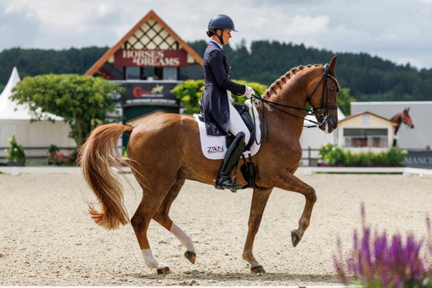 Sport Bilder des Tages HAGEN a.T.W. - CDIO Nations Cup 2026, HAGEN a.T.W. - CDIO Nations Cup 2026 Covalliero Dressage Days 2026 LYLE Adrienne (USA), Helix CDI3* Grand Prix Hagen a.T.W., Hof Kasselmann 03. July 2026 - *** HAGEN a T W CDIO Nations Cup 2026, HAGEN a T W CDIO Nations Cup 2026 Covalliero Dressage Days 2026 LYLE Adrienne USA, Helix CDI3* Grand Prix Hagen a T W, Hof Kasselmann July 3, 2026