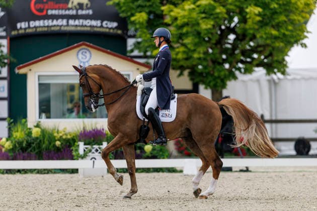 HAGEN a.T.W. - CDIO Nations Cup 2026, HAGEN a.T.W. - CDIO Nations Cup 2026 Covalliero Dressage Days 2026 LYLE Adrienne (USA), Helix CDI3* Grand Prix Hagen a.T.W., Hof Kasselmann 03. July 2026 - *** HAGEN a T W CDIO Nations Cup 2026, HAGEN a T W CDIO Nations Cup 2026 Covalliero Dressage Days 2026 LYLE Adrienne USA, Helix CDI3* Grand Prix Hagen a T W, Hof Kasselmann July 3, 2026