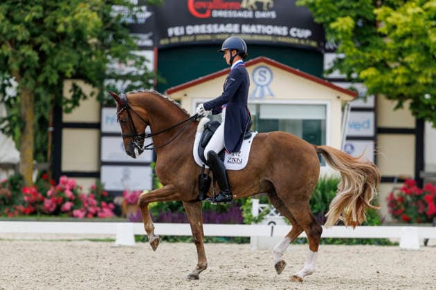 HAGEN a.T.W. - CDIO Nations Cup 2026, HAGEN a.T.W. - CDIO Nations Cup 2026 Covalliero Dressage Days 2026 LYLE Adrienne (USA), Helix CDI3* Grand Prix Hagen a.T.W., Hof Kasselmann 03. July 2026 - *** HAGEN a T W CDIO Nations Cup 2026, HAGEN a T W CDIO Nations Cup 2026 Covalliero Dressage Days 2026 LYLE Adrienne USA, Helix CDI3* Grand Prix Hagen a T W, Hof Kasselmann July 3, 2026