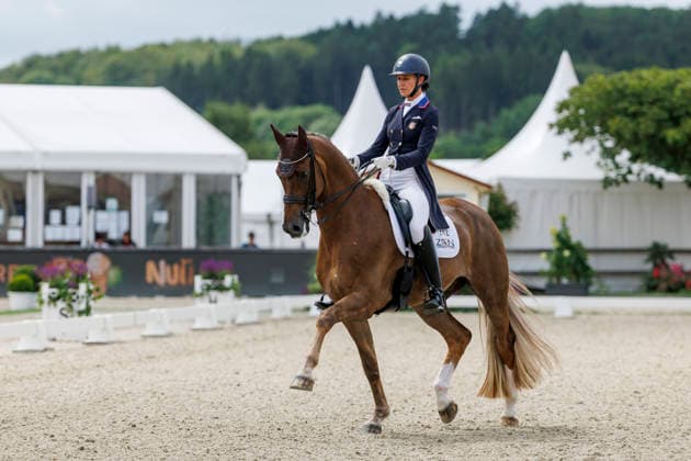 Equestrian sports, dressage, CDIO Nations Cup in Hagen