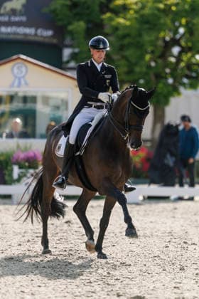 HAGEN a.T.W. - CDIO Nations Cup 2026, HAGEN a.T.W. - CDIO Nations Cup 2026 Covalliero Dressage Days 2026 WANDRES Frederic (GER), Bluetooth OLD CDIO Nations Cup Nationen Preis - Grand Prix de Dressage Meggle Prize Hagen a.T.W., Hof Kasselmann 03. July 2026 - *** HAGEN a T W CDIO Nations Cup 2026, HAGEN a T W CDIO Nations Cup 2026 Covalliero Dressage Days 2026 WANDRES Frederic GER, Bluetooth OLD CDIO Nations Cup Grand Prix de Dressage Meggle Prize Hagen a T W, Hof Kasselmann July 3, 2026