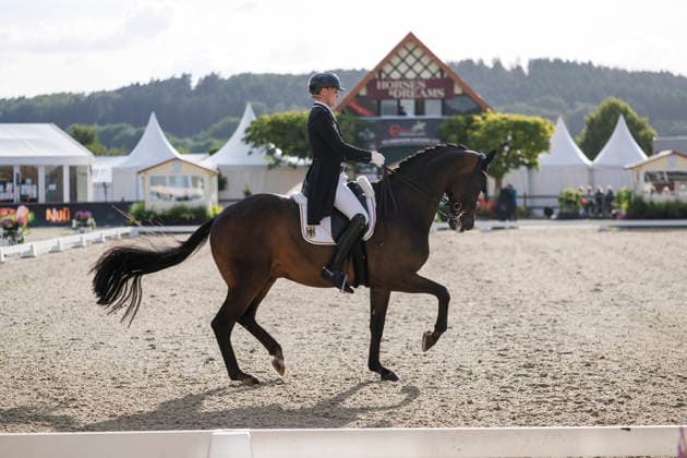 HAGEN a.T.W. - CDIO Nations Cup 2026, HAGEN a.T.W. - CDIO Nations Cup 2026 Covalliero Dressage Days 2026 WANDRES Frederic (GER), Bluetooth OLD CDIO Nations Cup Nationen Preis - Grand Prix de Dressage Meggle Prize Hagen a.T.W., Hof Kasselmann 03. July 2026 - *** HAGEN a T W CDIO Nations Cup 2026, HAGEN a T W CDIO Nations Cup 2026 Covalliero Dressage Days 2026 WANDRES Frederic GER, Bluetooth OLD CDIO Nations Cup Grand Prix de Dressage Meggle Prize Hagen a T W, Hof Kasselmann July 3, 2026