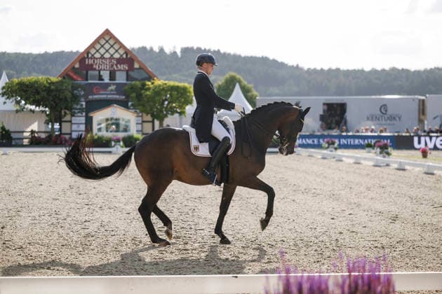 HAGEN a.T.W. - CDIO Nations Cup 2026, HAGEN a.T.W. - CDIO Nations Cup 2026 Covalliero Dressage Days 2026 WANDRES Frederic (GER), Bluetooth OLD CDIO Nations Cup Nationen Preis - Grand Prix de Dressage Meggle Prize Hagen a.T.W., Hof Kasselmann 03. July 2026 - *** HAGEN a T W CDIO Nations Cup 2026, HAGEN a T W CDIO Nations Cup 2026 Covalliero Dressage Days 2026 WANDRES Frederic GER, Bluetooth OLD CDIO Nations Cup Grand Prix de Dressage Meggle Prize Hagen a T W, Hof Kasselmann July 3, 2026