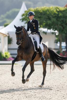HAGEN a.T.W. - CDIO Nations Cup 2026, HAGEN a.T.W. - CDIO Nations Cup 2026 Covalliero Dressage Days 2026 WANDRES Frederic (GER), Bluetooth OLD CDIO Nations Cup Nationen Preis - Grand Prix de Dressage Meggle Prize Hagen a.T.W., Hof Kasselmann 03. July 2026 - *** HAGEN a T W CDIO Nations Cup 2026, HAGEN a T W CDIO Nations Cup 2026 Covalliero Dressage Days 2026 WANDRES Frederic GER, Bluetooth OLD CDIO Nations Cup Grand Prix de Dressage Meggle Prize Hagen a T W, Hof Kasselmann July 3, 2026