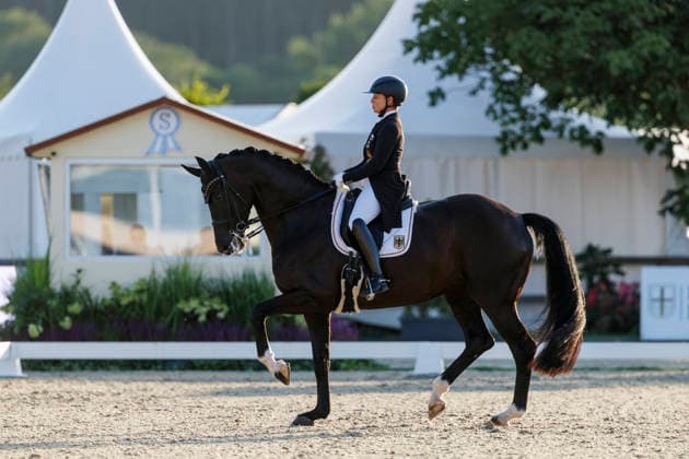 HAGEN a.T.W. - CDIO Nations Cup 2026, HAGEN a.T.W. - CDIO Nations Cup 2026 Covalliero Dressage Days 2026 WERTH Isabell (GER), Wendy de Fontaine CDIO Nations Cup Nationen Preis - Grand Prix de Dressage Meggle Prize Hagen a.T.W., Hof Kasselmann 03. July 2026 - *** HAGEN a T W CDIO Nations Cup 2026, HAGEN a T W CDIO Nations Cup 2026 Covalliero Dressage Days 2026 WERTH Isabell GER, Wendy de Fontaine CDIO Nations Cup Grand Prix de Dressage Meggle Prize Hagen a T W, Hof Kasselmann July 3, 2026