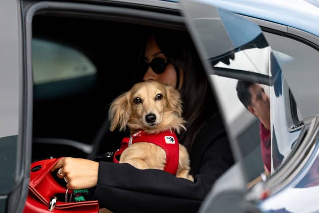 July 5, 2026, Silverstone, Northamptonshire, United Kingdom: LEO LECLERC and ALEXANDRA LECLERC during drivers arrival on race day (Sunday) at the Formula 1 Pirelli British Grand Prix 2026 at Silverstone Circuit Silverstone United Kingdom - ZUMAr193 20260705_zsp_r193_017 Copyright: xSaraxRuffonix