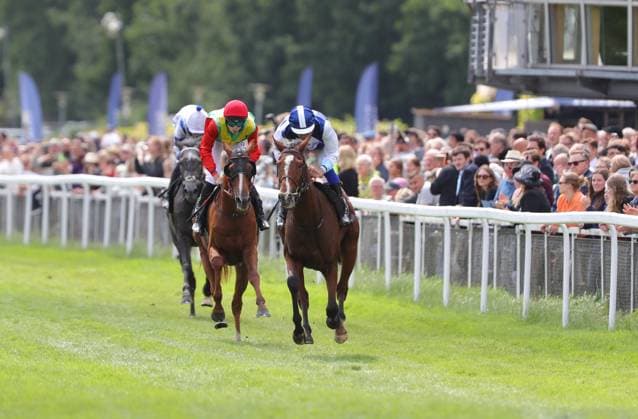 Equestrian sports, horse racing, Derby Meeting in Hamburg Horn