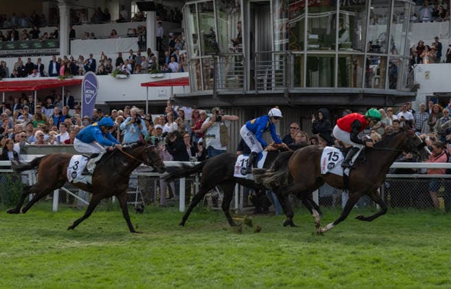 RECORD DATE NOT STATED Idee 157. Deutsches Derby 05.07.2026 Galopprennbahn Hamburg Horn Foto: Derby Sieger 2026 Waldimar Panov mit DARDANOS vor Seamie Heffernan mit WALADARES und Bauyrzhan Murzabayev mit SALITO Â *** Idea 157 German Derby, July 5, 2026, Hamburg-Horn Racetrack. Photo: 2026 Derby winner Waldimar Panov with DARDANOS, ahead of Seamie Heffernan with WALADARES and Bauyrzhan Murzabayev with SALITO Â 