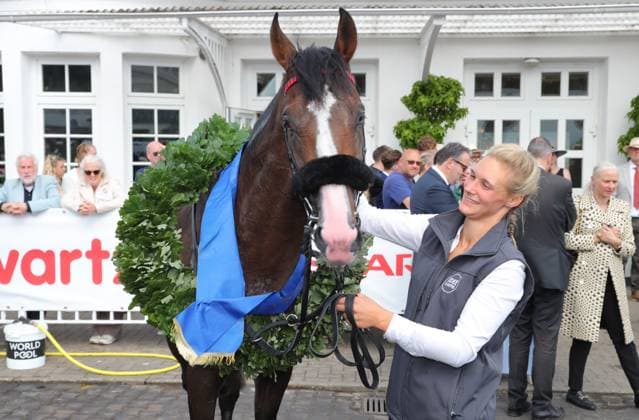05.07.2026, GER,Reitsport, Rennen 8 IDEE 157. Deutsches Derby , Derby Meeting Hamburg - Galopprennen, Hamburger Renn-Club e.V., Galopprennbahn Hamburg Horn, Hamburg Derbysieger IDEE 157. Deutsches Derby Hengst Dardanos ( 15) vom Stall Bergholz *** July 5, 2026, GER, Equestrian Sports, Race 8 IDEE 157 German Derby, Derby Meeting Hamburg Horse Race, Hamburger Renn Club e.V., Hamburg Horn Racetrack, Hamburg Derby Winner IDEE 157 German Derby, Stallion Dardanos 15 from Bergholz Stables nordphotoxGmbHx xTauchnitz nph00059