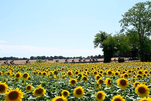 Tour de France 2026 Stage 5 PAU, FRANCE - JULY 08 : =xp in a sunflowers field during stage 5 of the 113rd edition of Tour de France an UCI World Tour 2.UWT cycling road race stage for Men Elite of 158 km with start in Lannemezan and finish in Pau on July 8, 2026 in Pau, France, 08 07 2026 ( Motordriver Kurt Vandenborre - Pau France  Copyright: xTomasxSiskx