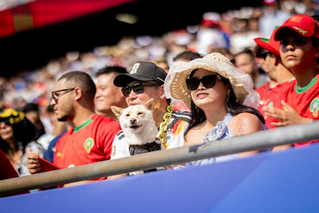 Boston, USA 09th Jul 2026. Fans bring their dogs to the stadium France - Morocco World Cup Frankreich - Marokko 09.07.2026 *** Boston, USA, July 9, 2026: Fans bring their dogs to the stadium. France vs. Morocco, World Cup, July 9, 2026