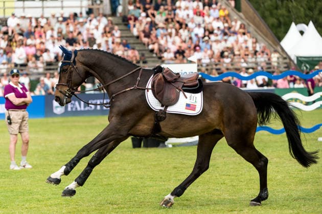 Sport Bilder des Tages 260710 Fornett d Emeraude (horse of Natalie Dean of United States) during Falsterbo Nations Cup during the Falsterbo Horse Show on July 10, 2026 in Falsterbo. Photo: Christian Örnberg BILDBYRAN COP 166 CO0709 ridsport equestrian falsterbo horse show ridsportlaget bbeng agria falsterbo nations cup *** July 10, 2026: Fornett d Emeraude, ridden by Natalie Dean of the United States, during the Falsterbo Nations Cup at the Falsterbo Horse Show on July 10, 2026 in Falsterbo. Photo by Christian Örnberg, BILDBYRAN COP 166 CO0709: equestrian sports, Falsterbo Horse Show, Ridsportlaget BBENG Agria, Falsterbo Nations Cup  Copyright: CHRISTIANxÖRNBERG BB260710CO179