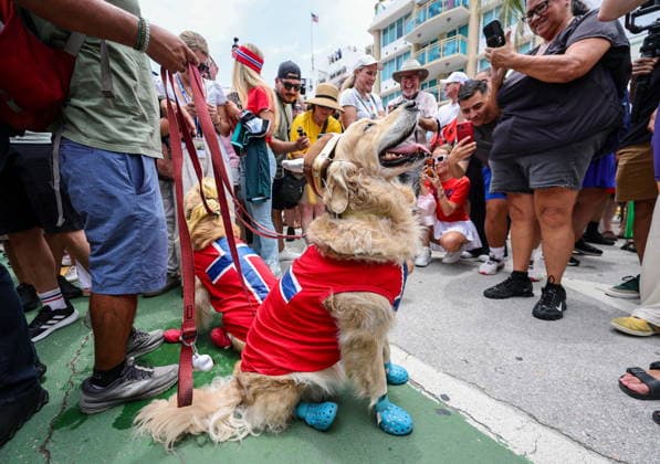 FIFA World Cup, WM, Weltmeisterschaft, Fussball 2026 - Fans of Norway gather at Miami Beach People take pictures of dogs wearing the colors of the Norwegian flag as fans of Norway gather at Miami Beach in Miami, Florida, USA, 10 July 2026. Norway will face England on 11 July in their FIFA World Cup 2026 quarterfinal match. Miami United States  Copyright: xRONALDxWITTEKx