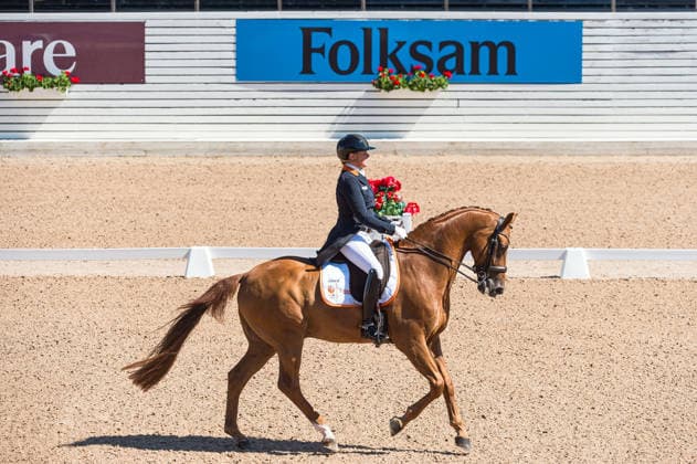 260711 Tosca Visser Van Der Meulen of Netherlands with horse Jackson competes in FEI Dressage Nations Cup Grand Prix during the Falsterbo Horse Show on July 11, 2026 in Falsterbo. Photo: Christian Örnberg BILDBYRAN COP 166 CO0710 ridsport equestrian falsterbo horse show ridsportlaget bbeng fei dressage nations cup grand prix *** July 11, 2026: Tosca Visser Van Der Meulen of the Netherlands, riding Jackson, competes in the FEI Dressage Nations Cup Grand Prix during the Falsterbo Horse Show on July 11, 2026 in Falsterbo. Photo by Christian Örnberg, BILDBYRAN COP 166 CO0710 equestrian sports Falsterbo Horse Show Ridsportlaget BBENG FEI Dressage Nations Cup Grand Prix  Copyright: CHRISTIANxÖRNBERG BB260711CO004