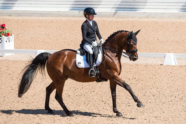 260711 Helen Langehanenberg of Germany with horse Daniela competes in FEI Dressage Nations Cup Grand Prix during the Falsterbo Horse Show on July 11, 2026 in Falsterbo. Photo: Christian Örnberg BILDBYRAN COP 166 CO0710 ridsport equestrian falsterbo horse show ridsportlaget bbeng fei dressage nations cup grand prixtyskland germany *** July 11, 2026: Helen Langehanenberg of Germany, riding her horse Daniela, competes in the FEI Dressage Nations Cup Grand Prix during the Falsterbo Horse Show on July 11, 2026 in Falsterbo. Photo by Christian Örnberg, BILDBYRAN COP 166 CO0710 equestrian sports Falsterbo Horse Show Ridsportlaget BBENG FEI Dressage Nations Cup Grand Prix Germany  Copyright: CHRISTIANxÖRNBERG BB260711CO005