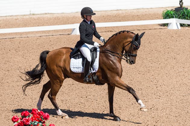 260711 Anna Zibrandtsen of Denmark with horse Quel Filou competes in FEI Dressage Nations Cup Grand Prix during the Falsterbo Horse Show on July 11, 2026 in Falsterbo. Photo: Christian Örnberg BILDBYRAN COP 166 CO0710 ridsport equestrian falsterbo horse show ridsportlaget bbeng fei dressage nations cup grand prixdanmark denmark *** July 11, 2026: Anna Zibrandtsen of Denmark, riding Quel Filou, competes in the FEI Dressage Nations Cup Grand Prix during the Falsterbo Horse Show on July 11, 2026 in Falsterbo. Photo by Christian Örnberg, BILDBYRAN COP 166 CO0710 equestrian sports Falsterbo Horse Show Ridsportlaget BBENG FEI Dressage Nations Cup Grand Prix Denmark  Copyright: CHRISTIANxÖRNBERG BB260711CO011