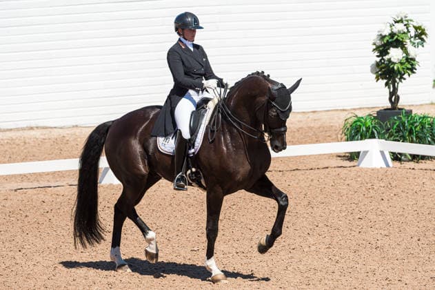 260711 Evelyn Eger of Germany with horse Global Power Old competes in FEI Dressage Nations Cup Grand Prix during the Falsterbo Horse Show on July 11, 2026 in Falsterbo. Photo: Christian Örnberg BILDBYRAN COP 166 CO0710 ridsport equestrian falsterbo horse show ridsportlaget bbeng fei dressage nations cup grand prixtyskland germany *** July 11, 2026: Evelyn Eger of Germany, riding Global Power Old, competes in the FEI Dressage Nations Cup Grand Prix during the Falsterbo Horse Show on July 11, 2026 in Falsterbo. Photo by Christian Örnberg, BILDBYRAN COP 166 CO0710 equestrian sports Falsterbo Horse Show Ridsportlaget BBENG FEI Dressage Nations Cup Grand Prix Germany  Copyright: CHRISTIANxÖRNBERG BB260711CO037