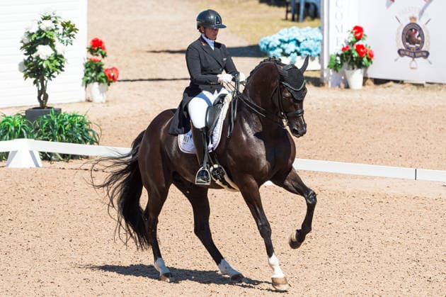 260711 Evelyn Eger of Germany with horse Global Power Old competes in FEI Dressage Nations Cup Grand Prix during the Falsterbo Horse Show on July 11, 2026 in Falsterbo. Photo: Christian Örnberg BILDBYRAN COP 166 CO0710 ridsport equestrian falsterbo horse show ridsportlaget bbeng fei dressage nations cup grand prixtyskland germany *** July 11, 2026: Evelyn Eger of Germany, riding Global Power Old, competes in the FEI Dressage Nations Cup Grand Prix during the Falsterbo Horse Show on July 11, 2026 in Falsterbo. Photo by Christian Örnberg, BILDBYRAN COP 166 CO0710 equestrian sports Falsterbo Horse Show Ridsportlaget BBENG FEI Dressage Nations Cup Grand Prix Germany  Copyright: CHRISTIANxÖRNBERG BB260711CO040