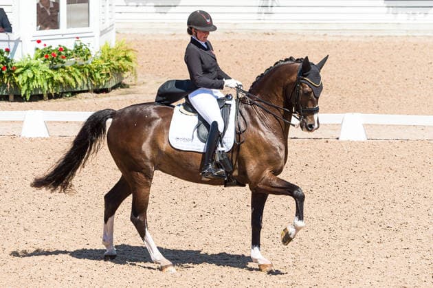 260711 Nadja Aaboe Sloth of Denmark with horse Favour Gersdorf competes in FEI Dressage Nations Cup Grand Prix during the Falsterbo Horse Show on July 11, 2026 in Falsterbo. Photo: Christian Örnberg BILDBYRAN COP 166 CO0710 ridsport equestrian falsterbo horse show ridsportlaget bbeng fei dressage nations cup grand prixdanmark denmark *** July 11, 2026: Nadja Aaboe Sloth of Denmark, riding Favour Gersdorf, competes in the FEI Dressage Nations Cup Grand Prix during the Falsterbo Horse Show on July 11, 2026 in Falsterbo. Photo by Christian Örnberg, BILDBYRAN COP 166 CO0710 equestrian sports Falsterbo Horse Show Ridsportlaget BBENG FEI Dressage Nations Cup Grand Prix Denmark  Copyright: CHRISTIANxÖRNBERG BB260711CO076