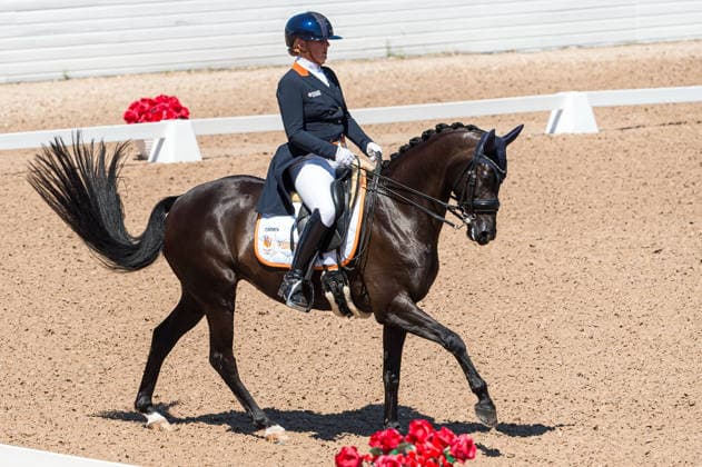 260711 Marie-JosÃ Calis of Netherlands with horse Limited Edition competes in FEI Dressage Nations Cup Grand Prix during the Falsterbo Horse Show on July 11, 2026 in Falsterbo. Photo: Christian Örnberg BILDBYRAN COP 166 CO0710 ridsport equestrian falsterbo horse show ridsportlaget bbeng fei dressage nations cup grand prix *** July 11, 2026: Marie Josà Calis of the Netherlands, riding the horse Limited Edition, competes in the FEI Dressage Nations Cup Grand Prix during the Falsterbo Horse Show on July 11, 2026 in Falsterbo. Photo by Christian Örnberg, BILDBYRAN COP 166 CO0710 equestrian sports Falsterbo Horse Show Ridsportlaget BBENG FEI Dressage Nations Cup Grand Prix  Copyright: CHRISTIANxÖRNBERG BB260711CO091