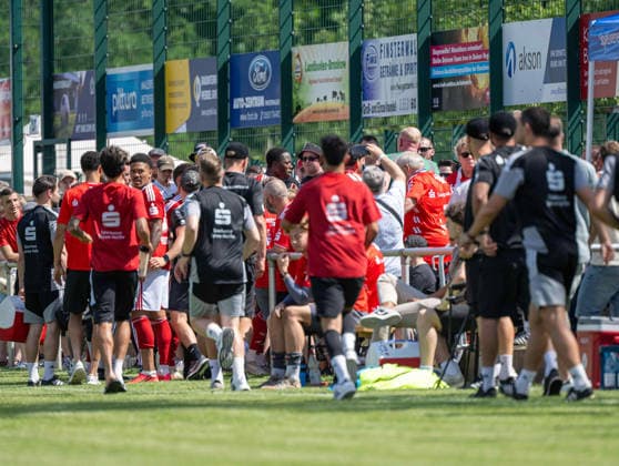 Fußball, Herren, Testspiel, Saison 2026 2027, Hallescher FC - FC Energie Cottbus in Finsterwalde, nach einer rassistischen Beleidigung ausgehend von einem Fan des HFC wurde das Spiel Mitte der zweiten Halbzeit abgebrochen, im Bild: King Manu (Energie Cottbus), Justin Butler (Energie Cottbus) und Anderson Lucoqui (Energie Cottbus) stellen den Fan, es bildet sich eine Menschenmenge, 11.07. 2026, *** Soccer, Men s, Friendly Match, 2026–2027 Season, Hallescher FC vs. FC Energie Cottbus in Finsterwalde; following a racist slur from an HFC fan, the game was called off midway through the second half. Pictured: King Manu (Energie Cottbus), Justin Butler (Energie Cottbus), and Anderson Lucoqui (Energie Cottbus) confront the fan, a crowd gathers, July 11, 2026, Copyright: xSebastianxRäppold MatthiasxKochx