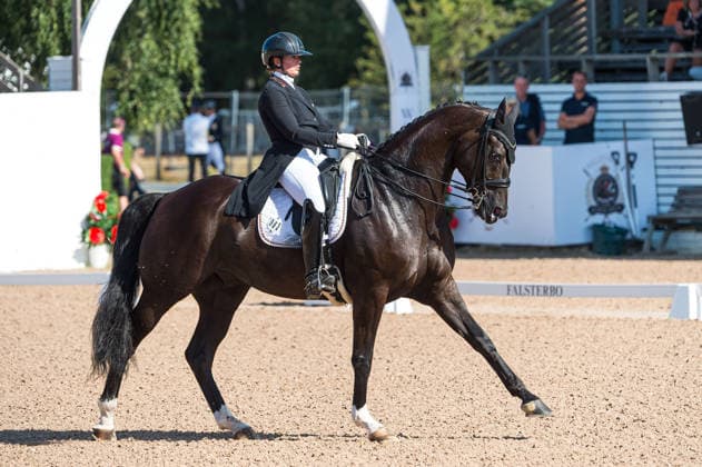 Equestrian sports, Falsterbo Horse Show, dressage
