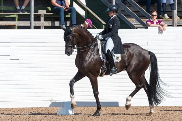 260712 Evelyn Eger of Germany with horse Global Power Old competes in FEI Grand Prix Special during the Falsterbo Horse Show on July 12, 2026 in Falsterbo. Photo: Christian Örnberg BILDBYRAN COP 166 CO0712 ridsport equestrian falsterbo horse show ridsportlaget bbeng fei grand prix specialtyskland germany *** July 12, 2026: Evelyn Eger of Germany, riding Global Power Old, competes in the FEI Grand Prix Special during the Falsterbo Horse Show on July 12, 2026 in Falsterbo. Photo by Christian Örnberg, BILDBYRAN COP 166 CO0712 equestrian sports Falsterbo Horse Show Ridsportlaget BBENG FEI Grand Prix Special Germany  Copyright: CHRISTIANxÖRNBERG BB260712CO019
