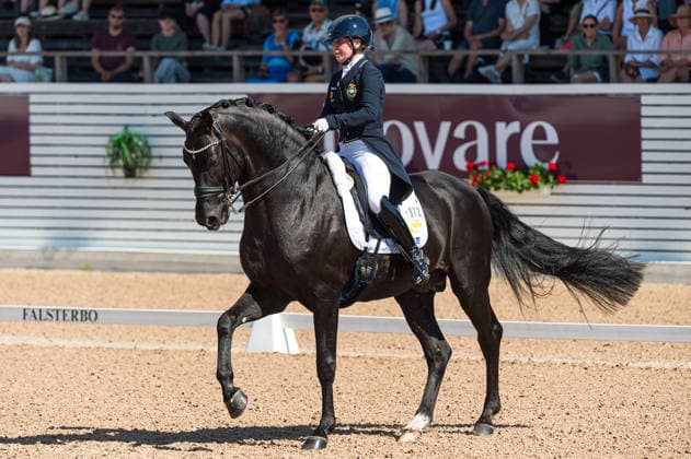 260712 Therese Nilshagen of Sweden with horse Navarro competes in FEI Grand Prix Special during the Falsterbo Horse Show on July 12, 2026 in Falsterbo. Photo: Christian Örnberg BILDBYRAN COP 166 CO0712 ridsport equestrian falsterbo horse show ridsportlaget bbeng fei grand prix specialsverige sweden *** July 12, 2026: Therese Nilshagen of Sweden, riding Navarro, competes in the FEI Grand Prix Special during the Falsterbo Horse Show on July 12, 2026 in Falsterbo. Photo by Christian Örnberg, BILDBYRAN COP 166 CO0712 equestrian sports Falsterbo Horse Show Ridsportlaget BBENG FEI Grand Prix Special Sweden  Copyright: CHRISTIANxÖRNBERG BB260712CO048