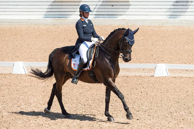 260712 Marsja Dijkman of Netherlands with horse Beaujolais competes in FEI Grand Prix Kür during the Falsterbo Horse Show on July 12, 2026 in Falsterbo. Photo: Christian Örnberg BILDBYRAN COP 166 CO0712 ridsport equestrian falsterbo horse show ridsportlaget bbeng fei grand prix kür *** 260712 Marsja Dijkman of the Netherlands, riding Beaujolais, competes in the FEI Grand Prix Kür during the Falsterbo Horse Show on July 12, 2026 in Falsterbo. Photo by Christian Örnberg, BILDBYRAN COP 166 CO0712 equestrian sports Falsterbo Horse Show Ridsportlaget BBENG FEI Grand Prix Kür  Copyright: CHRISTIANxÖRNBERG BB260712CO061