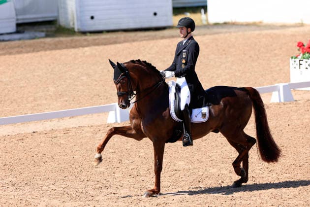 Moritz Treffinger from Germany rides the horse Fiderdance during the FEI Grand Prix Kür at the Falsterbo horse show in Falsterbo, Sweden July 12, 2026. FALSTERBO SWEDEN x10600x *** Moritz Treffinger from Germany rides the horse Fiderdance during the FEI Grand Prix Kür at the Falsterbo Horse Show in Falsterbo, Sweden, on July 12, 2026. FALSTERBO, SWEDEN x10600x  Copyright: xAndreasxHillergren TTx FALSTERBO HORSE SHOW 2026