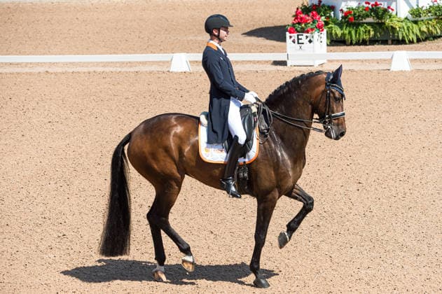 260712 Robin Bernoski of Netherlands with horse Jamaica competes in FEI Grand Prix Kür during the Falsterbo Horse Show on July 12, 2026 in Falsterbo. Photo: Christian Örnberg BILDBYRAN COP 166 CO0712 ridsport equestrian falsterbo horse show ridsportlaget bbeng fei grand prix kür *** July 12, 2026: Robin Bernoski of the Netherlands, riding Jamaica, competes in the FEI Grand Prix Kür during the Falsterbo Horse Show on July 12, 2026 in Falsterbo. Photo by Christian Örnberg, BILDBYRAN COP 166 CO0712 equestrian sports Falsterbo Horse Show Ridsportlaget BBENG FEI Grand Prix Kür  Copyright: CHRISTIANxÖRNBERG BB260712CO072