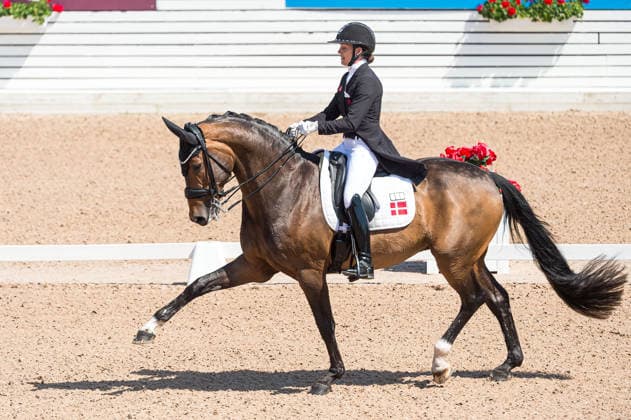 260712 Cathrine Laudrup-Dufour of Denmark with horse Mount St John Freestyle competes in FEI Grand Prix Kür during the Falsterbo Horse Show on July 12, 2026 in Falsterbo. Photo: Christian Örnberg BILDBYRAN COP 166 CO0712 ridsport equestrian falsterbo horse show ridsportlaget bbeng fei grand prix kürdanmark denmark *** July 12, 2026: Cathrine Laudrup Dufour of Denmark, riding Mount St. John, competes in the FEI Grand Prix Freestyle during the Falsterbo Horse Show on July 12, 2026 in Falsterbo. Photo by Christian Örnberg, BILDBYRAN COP 166 CO0712 equestrian sports Falsterbo Horse Show Ridsportlaget BBENG FEI Grand Prix Kür Denmark  Copyright: CHRISTIANxÖRNBERG BB260712CO079