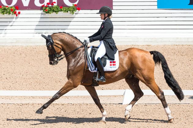 260712 Anna Zibrandtsen of Denmark with horse Quel Filou competes in FEI Grand Prix Kür during the Falsterbo Horse Show on July 12, 2026 in Falsterbo. Photo: Christian Örnberg BILDBYRAN COP 166 CO0712 ridsport equestrian falsterbo horse show ridsportlaget bbeng fei grand prix kürdanmark denmark *** July 12, 2026: Anna Zibrandtsen of Denmark, riding Quel Filou, competes in the FEI Grand Prix Kür during the Falsterbo Horse Show on July 12, 2026 in Falsterbo. Photo by Christian Örnberg, BILDBYRAN COP 166 CO0712 equestrian sports Falsterbo Horse Show Ridsportlaget BBENG FEI Grand Prix Kür Denmark  Copyright: CHRISTIANxÖRNBERG BB260712CO089
