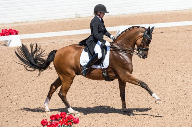 260712 Anna Zibrandtsen of Denmark with horse Quel Filou competes in FEI Grand Prix Kür during the Falsterbo Horse Show on July 12, 2026 in Falsterbo. Photo: Christian Örnberg BILDBYRAN COP 166 CO0712 ridsport equestrian falsterbo horse show ridsportlaget bbeng fei grand prix kürdanmark denmark *** July 12, 2026: Anna Zibrandtsen of Denmark, riding Quel Filou, competes in the FEI Grand Prix Kür during the Falsterbo Horse Show on July 12, 2026 in Falsterbo. Photo by Christian Örnberg, BILDBYRAN COP 166 CO0712 equestrian sports Falsterbo Horse Show Ridsportlaget BBENG FEI Grand Prix Kür Denmark  Copyright: CHRISTIANxÖRNBERG BB260712CO090