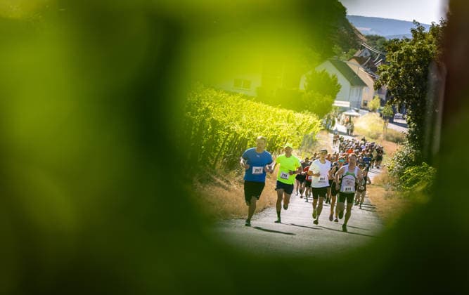 Impressionen 12. Monzinger Wingertslauf; Monzingen, 12.07.2026 Impression vom 12. Monzinger Wingertslauf am 12.07.2026 in den Weinbergen bei Monzingen (Rheinland-Pfalz). Über 100 Läuferinnen und Läufer waren bei strahlendem Sonnenschein und hochsommerlichen Temperaturen am Morgen, der Start erfolgte um 9.00 Uhr, auf den beiden Laufstrecken über 7,5 und 15,5 Kilometer unterwegs. Auf der längeren der beiden angebotenen Distanzen gilt es einen Höhenunterschied von 330m zu bewältigen. *** Highlights from the 12th Monzingen Vineyard Run, Monzingen, July 12, 2026 Impressions from the 12th Monzingen Wingertslauf on July 12, 2026, in the vineyards near Monzingen, Rhineland-Palatinate. Over 100 runners took part in the event that morning amid bright sunshine and midsummer temperatures; with the race starting at 9:00 a.m., on the two courses covering 7.5 and 15.5 kilometers. On the longer of the two distances offered, runners had to tackle an elevation gain of 330 meters Copyright: xBEAUTIFULxSPORTS R.xSchmittx