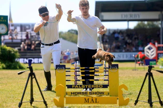 FALSTERBO, SVERIGE 20260712 Shane Sweetnam fran Irland under kaninhoppningen under Falsterbo horse show. FALSTERBO SVERIGE x10600x *** FALSTERBO, SWEDEN 20260712 Shane Sweetnam of Ireland during the show jumping competition at the Falsterbo Horse Show FALSTERBO SWEDEN x10600x  Copyright: xAndreasxHillergren TTx FALSTERBO HORSE SHOW 2026