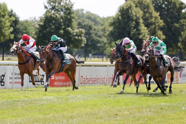12.07.2026, Muelheim, Nordrhein-Westfalen, GER - The Magic Melody mit Enzo Crublet gewinnt. Galopprennbahn Muelheim-Raffelberg. (Pferd, Jockey, The Magic Melody, Crublet, Sieg, Ziel, Zielankunft) 260712SG910MUELHEIM.JPG *** July 12, 2026, Mülheim, North Rhine-Westphalia, GER: The Magic Melody with Enzo Crublet wins at the Mülheim-Raffelberg Racetrack; horse, jockey, The Magic Melody, Crublet, victory, finish line, finish 260712SG910MUELHEIM JPG