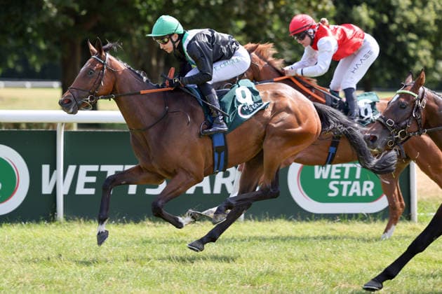 12.07.2026, Muelheim, Nordrhein-Westfalen, GER - The Magic Melody mit Enzo Crublet gewinnt. Galopprennbahn Muelheim-Raffelberg. (Pferd, Jockey, The Magic Melody, Crublet, Sieg, Ziel, Zielankunft) 260712SG911MUELHEIM.JPG *** July 12, 2026, Mülheim, North Rhine-Westphalia, GER The Magic Melody with Enzo Crublet wins at the Mülheim-Raffelberg Racetrack Horse, jockey, The Magic Melody, Crublet, victory, finish line, finish 260712SG911MUELHEIM JPG