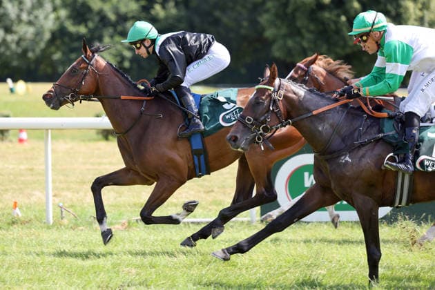 12.07.2026, Muelheim, Nordrhein-Westfalen, GER - The Magic Melody mit Enzo Crublet gewinnt. Galopprennbahn Muelheim-Raffelberg. (Pferd, Jockey, The Magic Melody, Crublet, Sieg, Ziel, Zielankunft) 260712SG912MUELHEIM.JPG *** July 12, 2026, Mülheim, North Rhine-Westphalia, GER The Magic Melody with Enzo Crublet wins at the Mülheim-Raffelberg Racetrack Horse, jockey, The Magic Melody, Crublet, victory, finish line, finish 260712SG912MUELHEIM JPG
