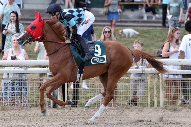 12.07.2026, Muelheim, Nordrhein-Westfalen, GER - Starlit Destiny mit Sibylle Vogt beim Aufgalopp. Galopprennbahn Muelheim-Raffelberg. (Pferd, Jockey, Starlit Destiny, Vogt, Aufgalopp) 260712SG923MUELHEIM.JPG *** July 12, 2026, Mülheim, North Rhine-Westphalia, GER Starlit Destiny with Sibylle Vogt during the warm-up at the Mülheim-Raffelberg Racetrack Horse, jockey, Starlit Destiny, Vogt, warm-up 260712SG923MUELHEIM JPG