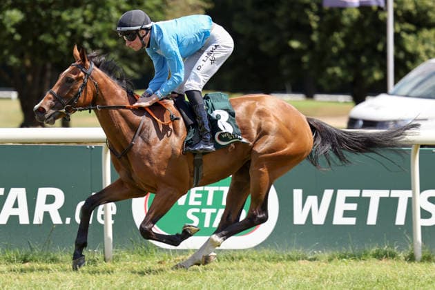 Equestrian sports, horse racing, race day in Mülheim-Raffelberg