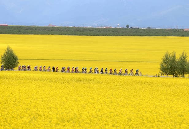 MENYUAN, CHINA - JULY 12: Cyclists ride through a vast field of blooming rapeseed flowers during the 25th Tour of Magnificent Qinghai International Road cycling, Rad, Radsport, Strasse Race on July 12, 2026 in Menyuan, Qinghai Province of China. The second stage of the 25th Tour of Magnificent Qinghai International Road Cycling Race ran from Huangyuan to Menyuan.  Copyright: xChinaxNewsxServicex 111653853629