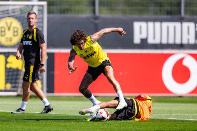 Football, Bundesliga 1, Borussia Dortmund, Training