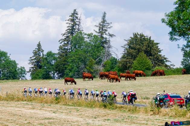 Tour de France 2026 Stage 10 LE LIORAN, FRANCE - JULY 14 : Illustration picture of the peloton during stage 10 of the 113rd edition of Tour de France an UCI World Tour 2.UWT cycling road race stage for Men Elite of 167 km with start in Aurillac and finish in Le Lioran on July 14, 2026 in Le Lioran, France, 14 07 2026 Le Lioran France  Copyright: xLucaxBettinix