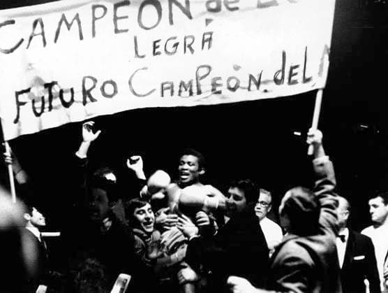 El boxeador hispano-cubano JosÃ Legra. The Hispanic-Cuban boxer JosÃ Legra.  -ecommerce-Fotos eCommerce-2-182303764